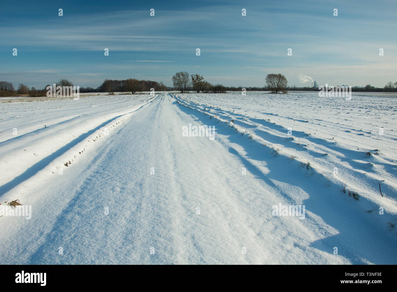 Straße und Felder mit Schnee, Horizont und blauer Himmel bedeckt - Blick auf einem sonnigen Wintertag Stockfoto