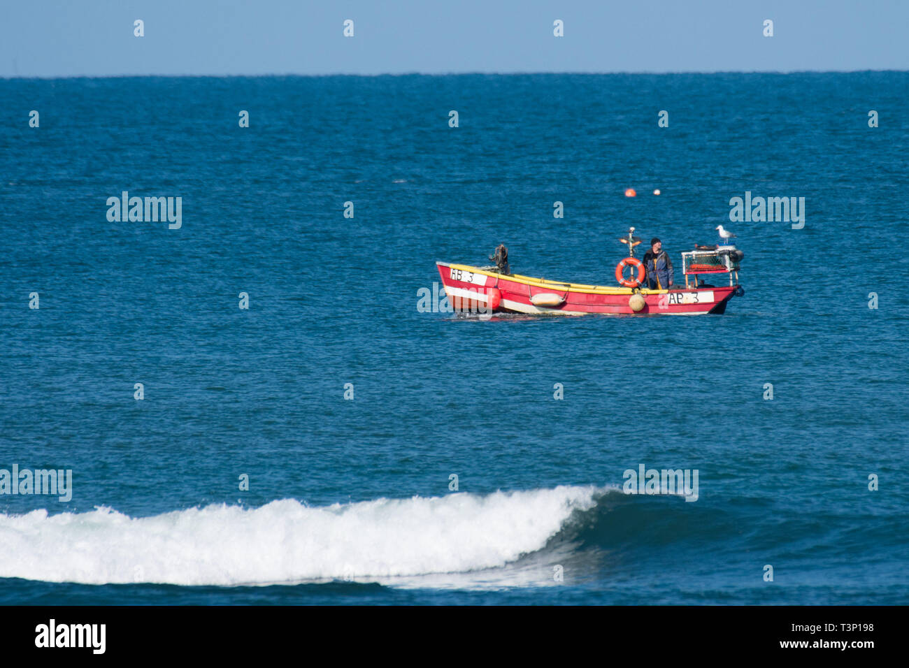 Aberystwyth Wales, UK. 11 Apr, 2019. UK Wetter: lokale Küstenfischerei lobster Fischer in seinem kleinen Boot auf dem ruhigen Meer auf einem strahlend hellen und sonnigen Morgen in Aberystwyth auf der Cardigan Bay Küste von West Wales. Credit: Keith Morris/Alamy leben Nachrichten Stockfoto