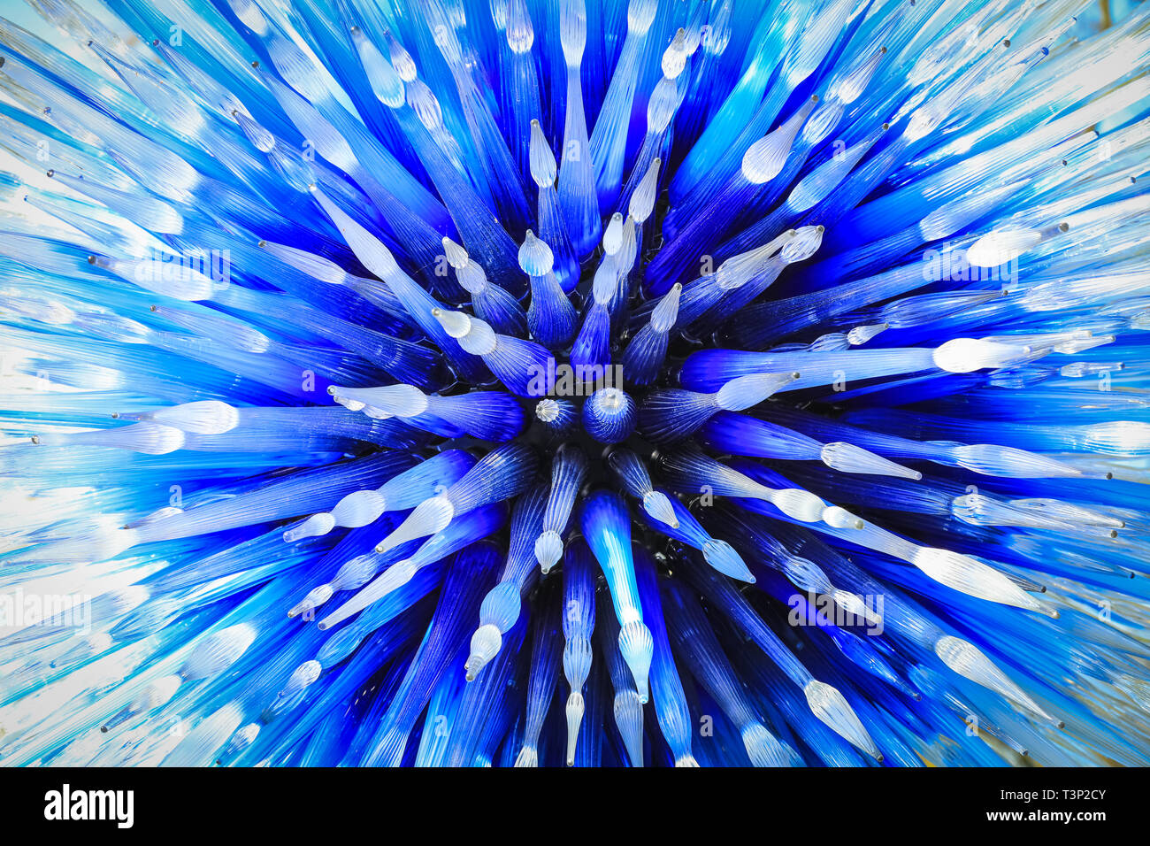 Kew Gardens, London, Großbritannien, 11. April 2019. Sapphire Star von Dale Chihuly, Ausstellung „Reflections on Nature“, offizielle Pressefotoausstellung. Stockfoto