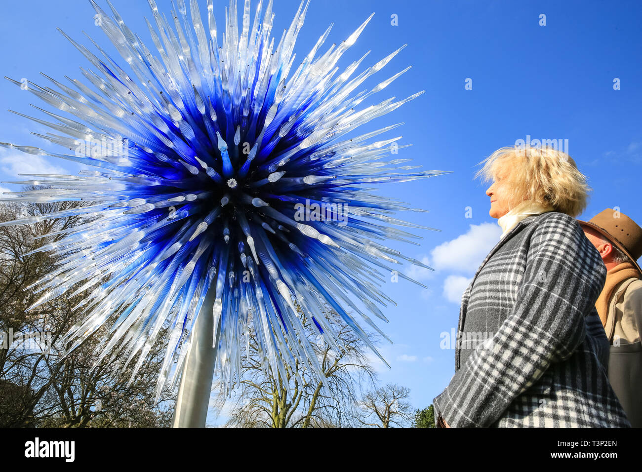 Kew Gardens, London, Großbritannien, 11. April 2019. Sapphire Star von Dale Chihuly, Ausstellung „Reflections on Nature“, offizielle Pressefotoausstellung. Stockfoto