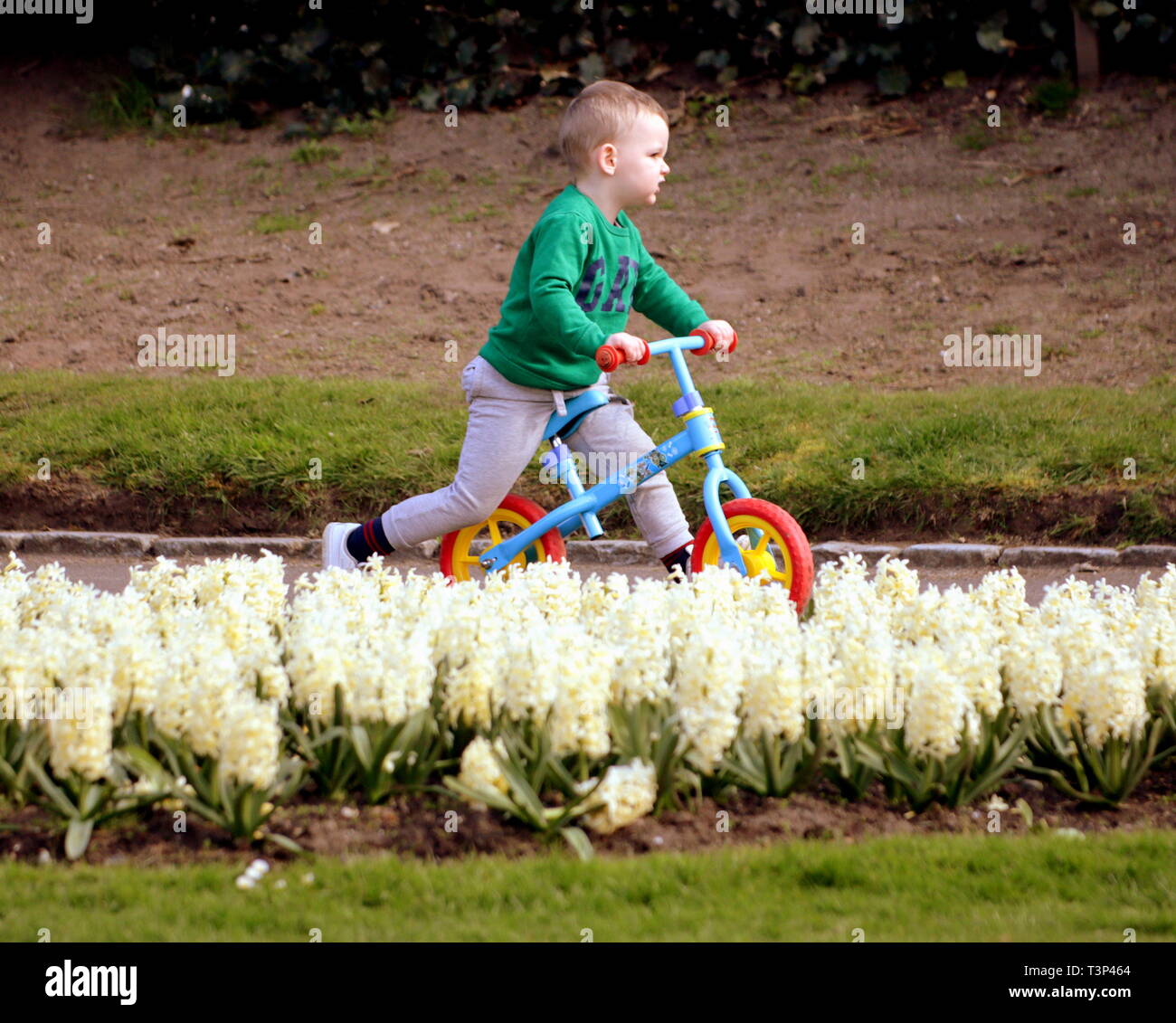 Glasgow, Schottland, Großbritannien. 11 Apr, 2019. UK Wetter: Sonnig Sommertag im Victoria Park als Grünfläche Blume der Stadt zeigt Hit ihren Höhepunkt im hellen Sonnenschein und hohen Temperaturen im Zentrum der Stadt. Credit: Gerard Fähre / alamy Leben Nachrichten Stockfoto