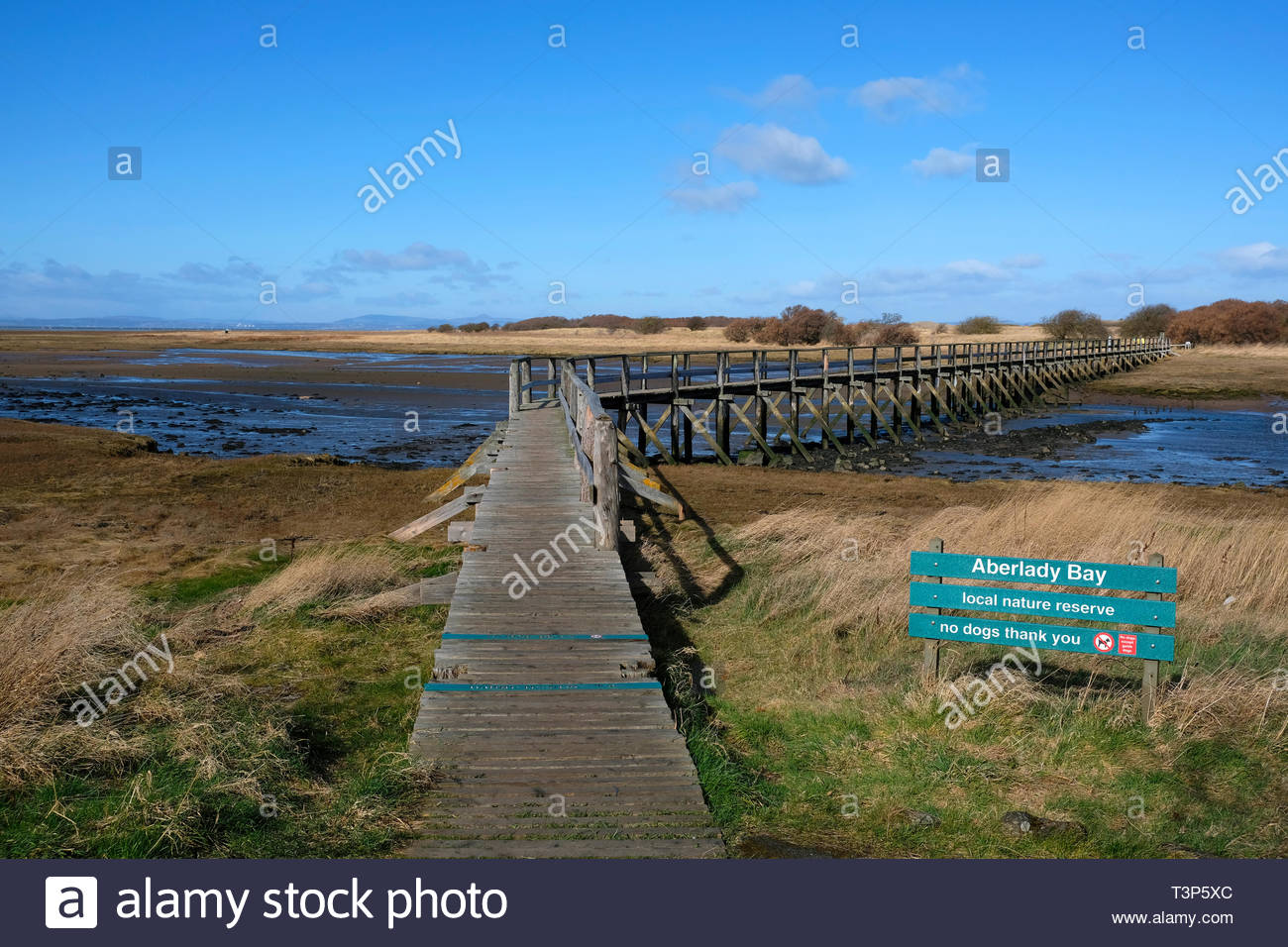 Aberlady Bay Nature Reserve, East Lothian, Schottland Stockfoto