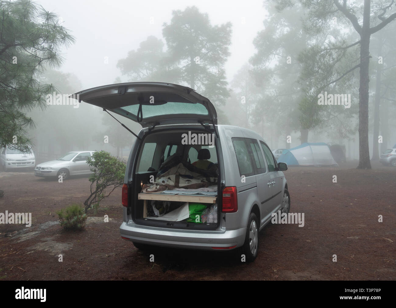 DIY Wohnmobil bed Conversion. Frau schlafen in Volkswagen Caddy in Nebel gehüllt, Mountain Forest Campingplatz auf Gran Canaria, Kanarische Inseln, Spanien Stockfoto