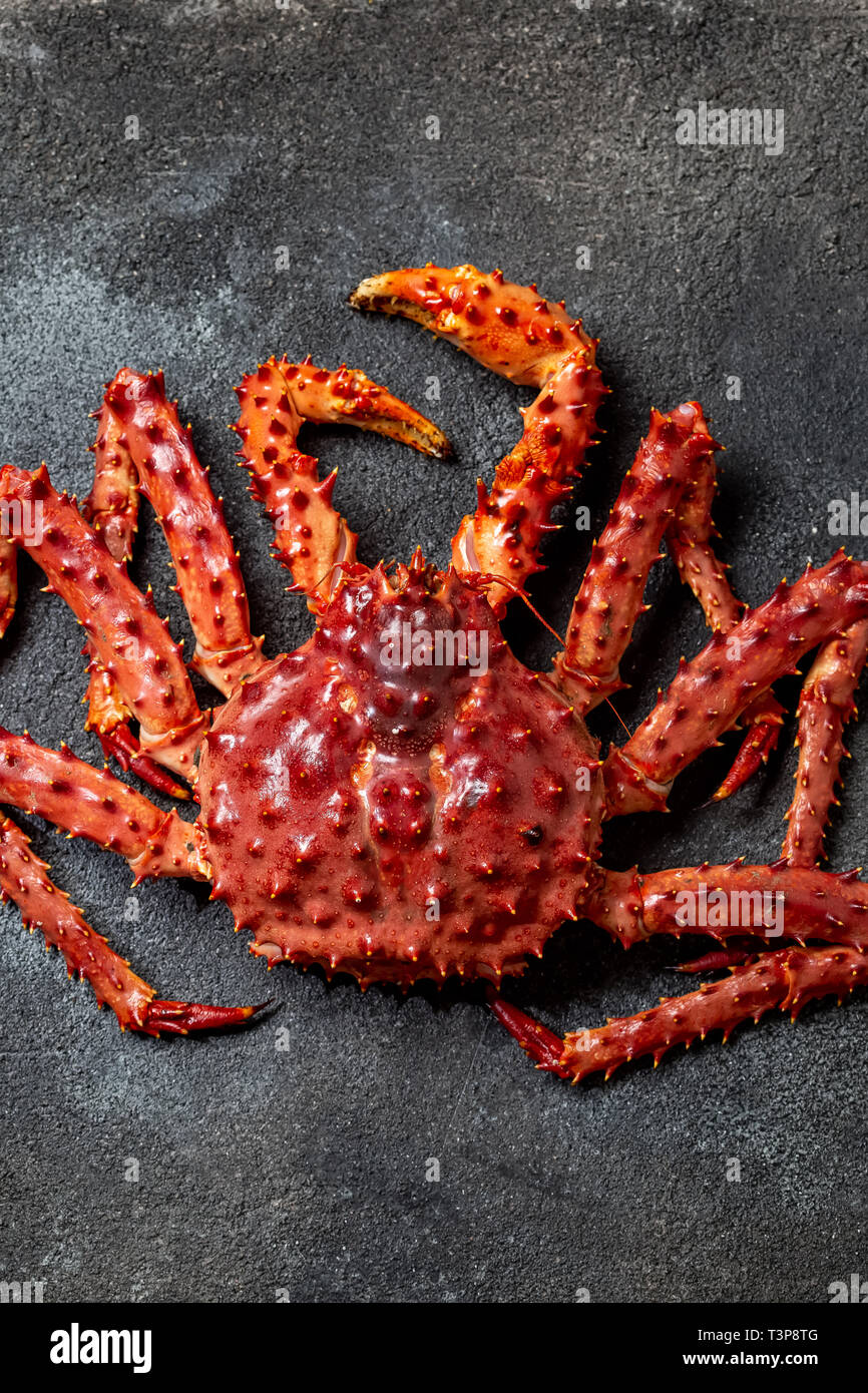Red king crab auf grauem Hintergrund. King Crab, Zitrone und Koriander, Ansicht von oben Stockfoto