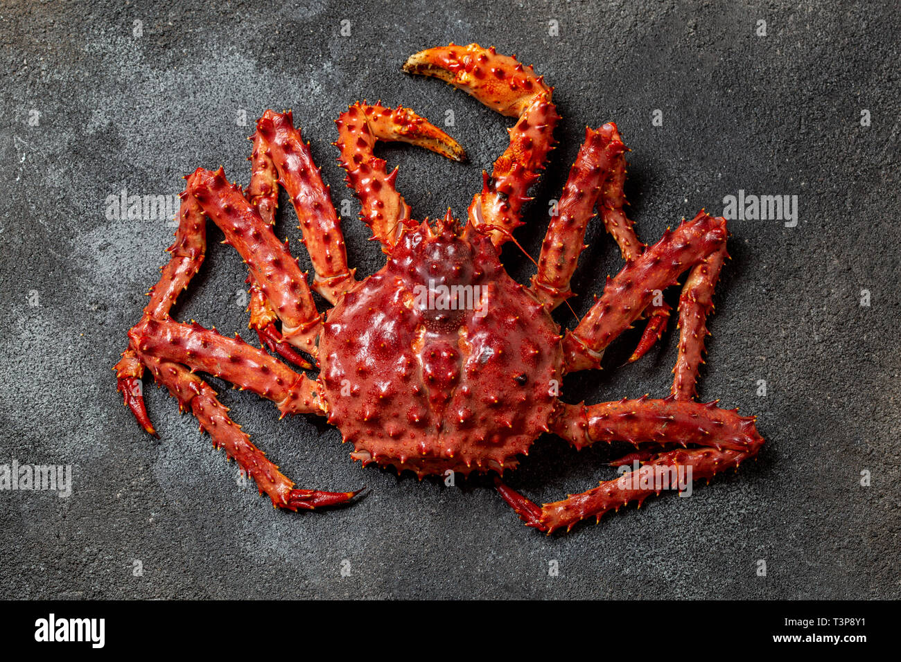 Red king crab auf grauem Hintergrund. King Crab, Zitrone und Koriander, Ansicht von oben Stockfoto