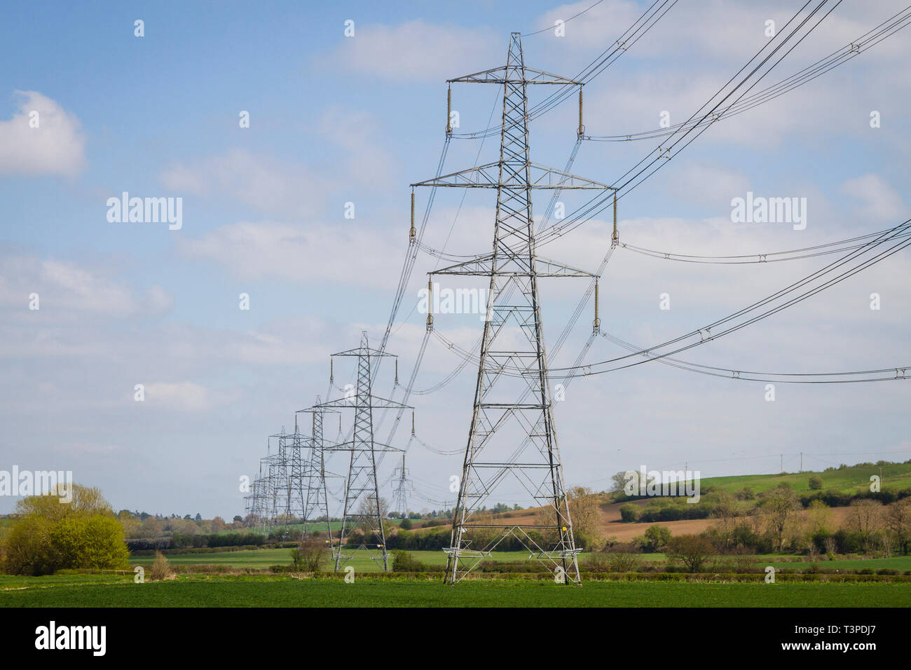 Eine Linie von strommasten März über die englische Landschaft südlich von Oxford Stockfoto