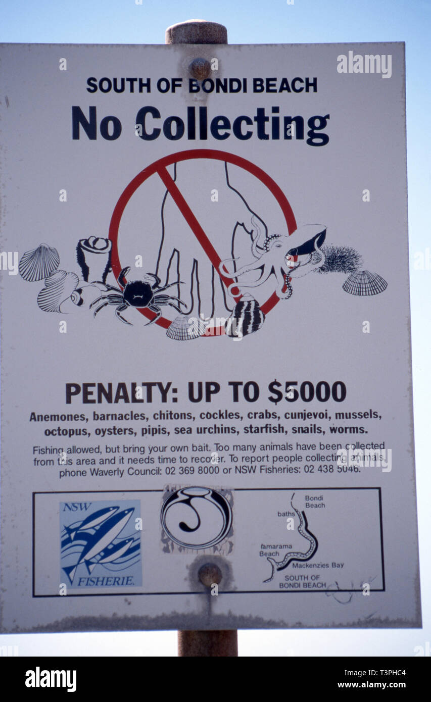 KEIN SAMMELN VON MEERLEBEN-Schild, STRAfen GILT, SÜDLICH DES BONDI BEACH GEBIETS, SYDNEY, NEW SOUTH WALES, AUSTRALIEN. Stockfoto