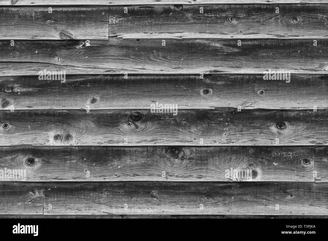 Nahaufnahme Detail der Holz- Farm Barn Boards Stockfoto