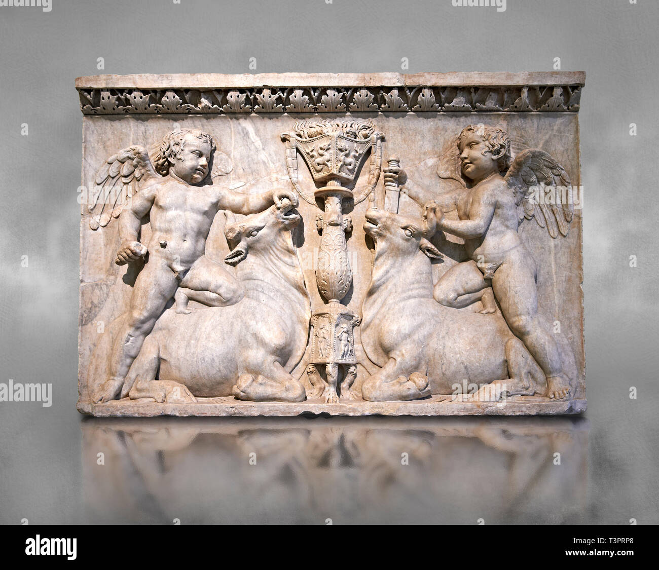 Römische Marmor gemeißelten Reliefs mit amoretten über Stiere opfern, aus dem Tempel der Venus Genetrix auf dem Forum des Caesar Rom 30 AD, inv 6718, Stockfoto