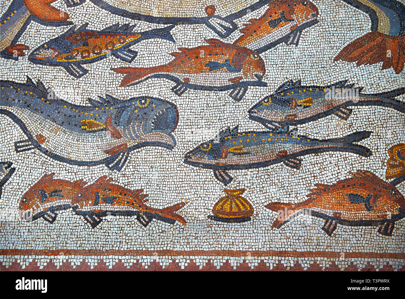 Fisch und Meerestiere aus dem 3. Jahrhundert römische Mosaik villa Stock aus Lod, in der Nähe von Tel Aviv, Israel. Die Römischen Boden Mosaik von Lod ist die größte und b Stockfoto