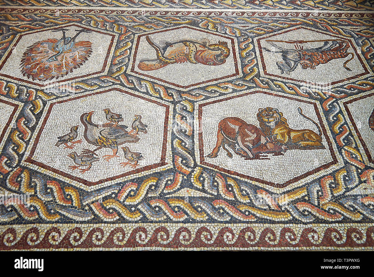 Tiere und Vögel aus dem 3. Jahrhundert römische Mosaik villa Stock aus Lod, in der Nähe von Tel Aviv, Israel. Die Römischen Boden Mosaik von Lod ist die größte und beste Stockfoto