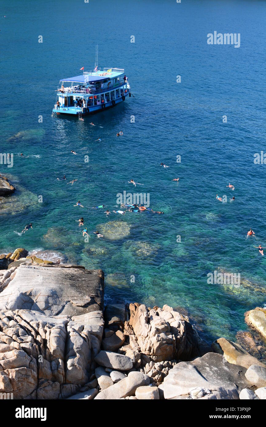 Schnorcheln in Hin Ngam Bay. Koh Tao. Thailand Stockfoto