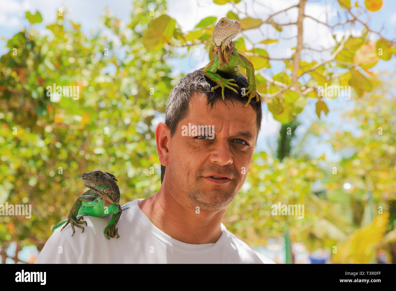 Mann mit Eidechsen auf Kopf und Schulter. Stockfoto