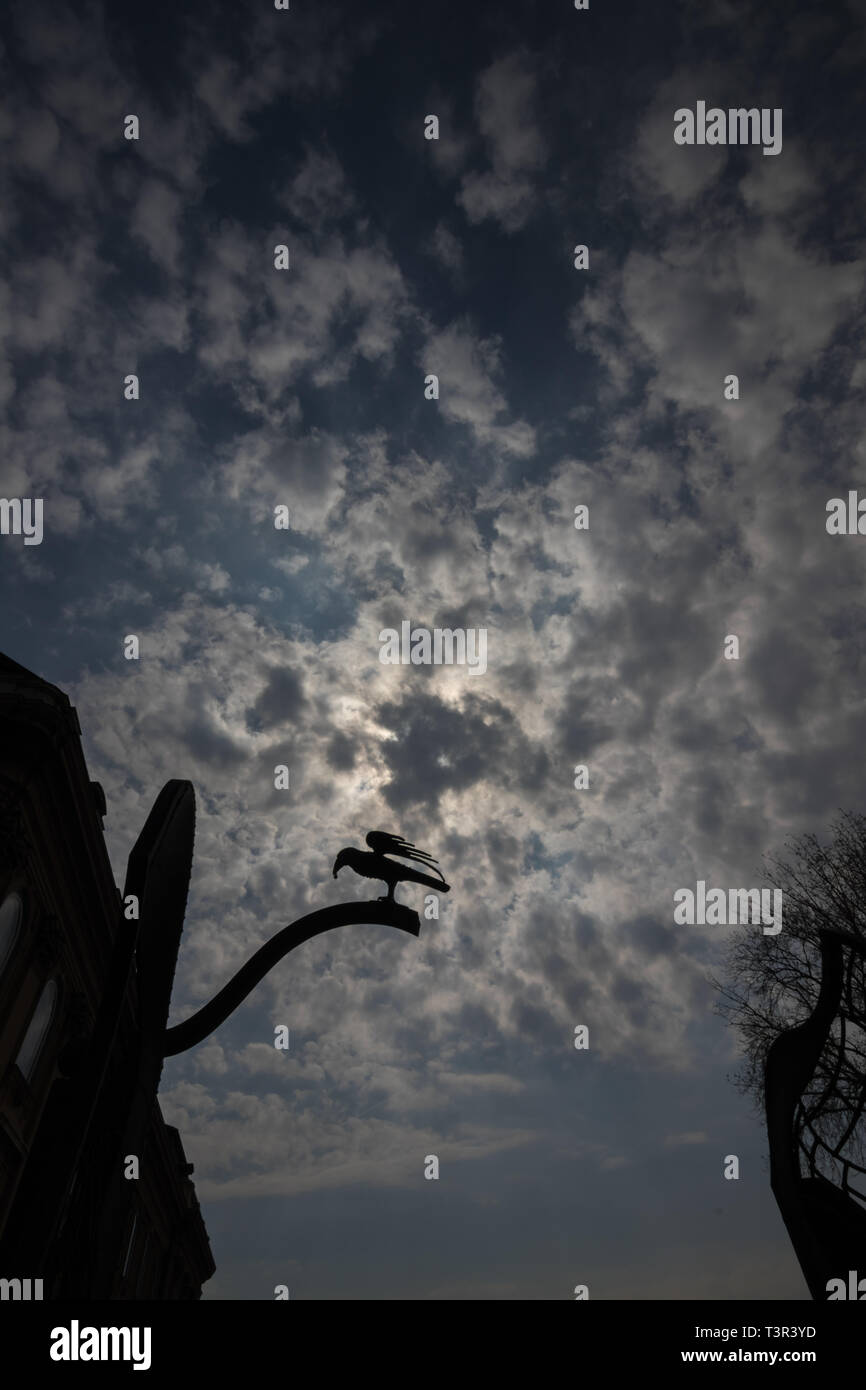 Der Rabe hält in seinem Schnabel ein Ring. Dunkel und Horror Szene in der Abenddämmerung. Stockfoto