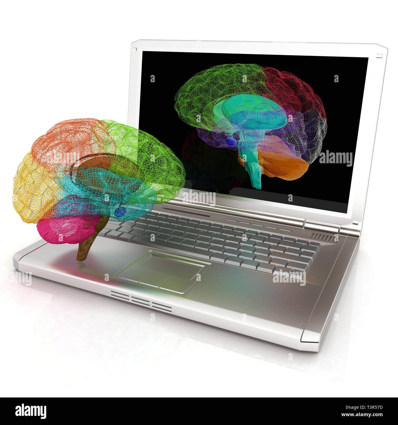 Kreative dreidimensionales Modell der realen menschlichen Gehirn und auf einem digitalen Laptop scannen. 3D-Rendering Stockfoto