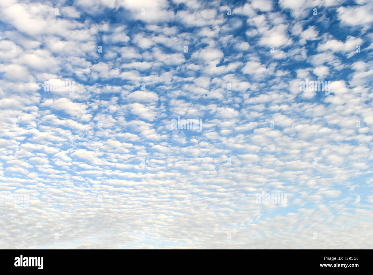 Den blauen Himmel und weiße flauschige Wolken Stockfoto