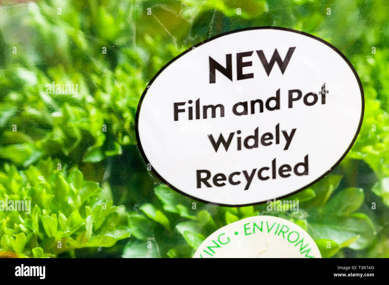 Anweisungen für Recycling auf Topf Curly blätterte Petersilie lesen Film und Topf weit recycelt. Stockfoto
