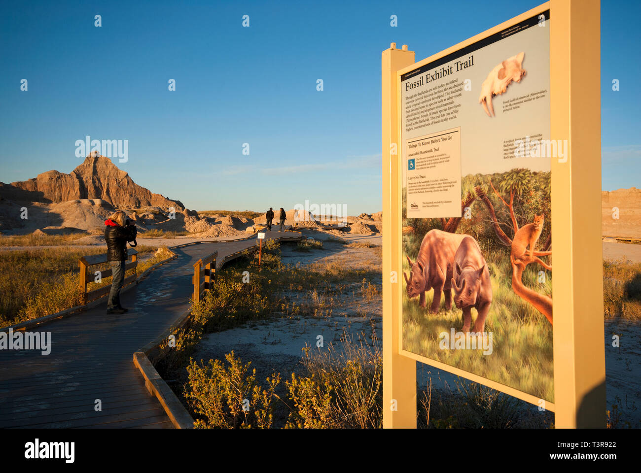 Fossil Ausstellung Trail in Badlands National Park, South Dakota, USA Stockfoto