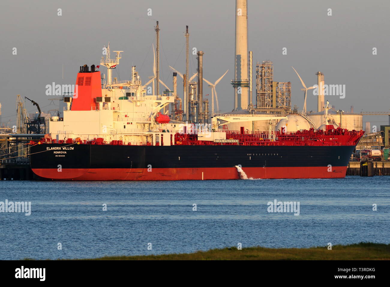 Der tanker Elandra Willow ist am 10. April 2019 im Hafen von Rotterdam. Stockfoto