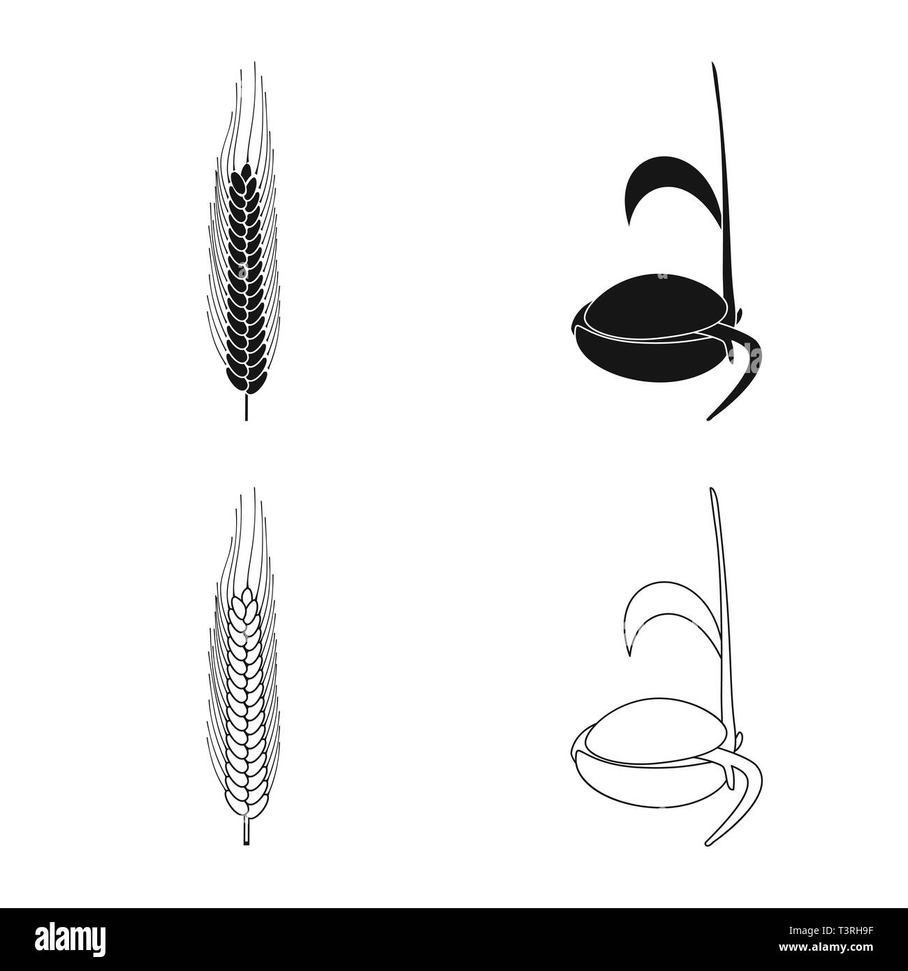 Saatgut, Winter, Wachsen, Frühling, Wurzel, Spike, Sämling, Durum, Stadien, Zuschneiden, Keimen, Maisfeld, Keimung, Stroh, Prozess, Wiese, Plantation, ländliche Entwicklung, Landwirtschaft, Landwirtschaft, Roggen, Weizen, Mais, Getreide, Ernte, Bauernhof, Feld, Set, Vector, Icon, Illustration, isoliert, Sammlung, Design, Element, Grafik, Zeichen, Vektor, Vektoren, Stock Vektor