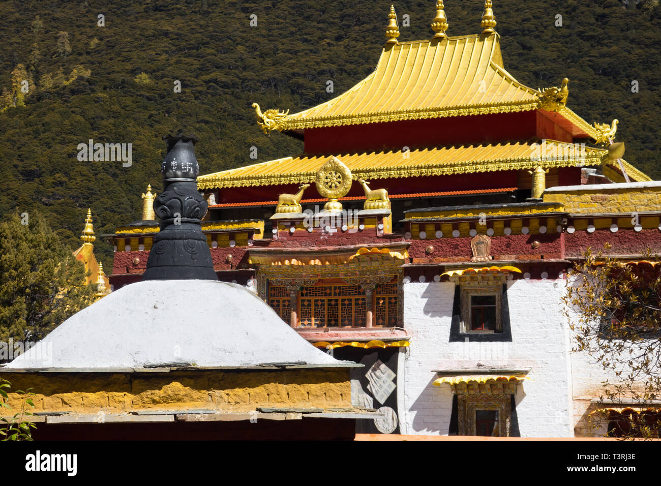 Chongu buddhistischen Tempel in der daocheng Yading National Nature Reserve (bekannt als Nyidên auf Tibetisch), Ganzi, Sichuan, China Stockfoto