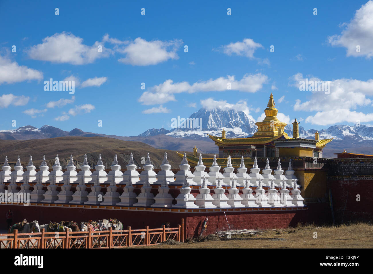 Tagong Tempel und Hintergrund tibetischen Heiligen Berg Mt. Yala und Sichuan, China. Stockfoto