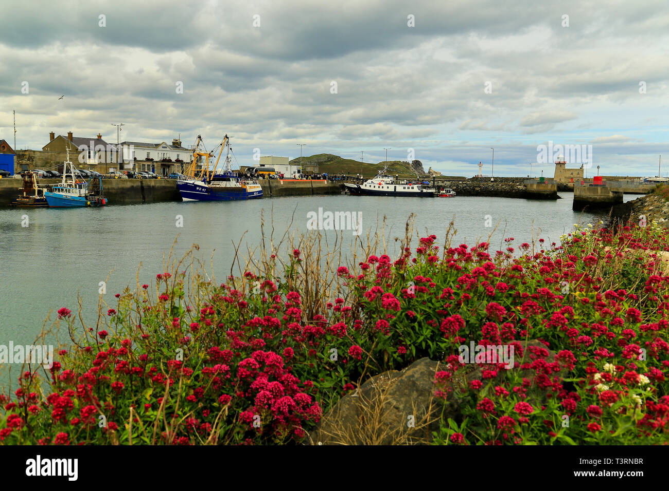 Howth Hafen an der Küste in Dublin, Irland. Stockfoto