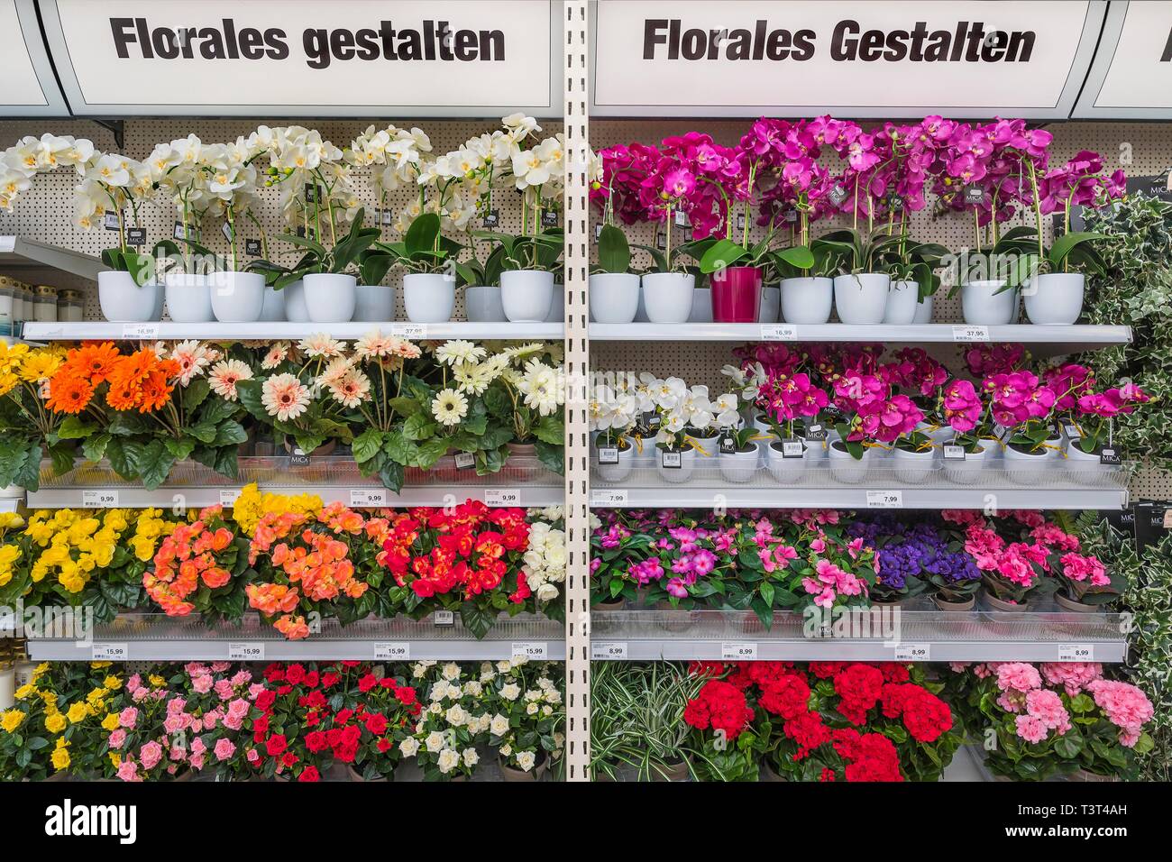 Blumendekor, künstliche Blumen an Hardware Store, München, Oberbayern, Bayern, Deutschland Stockfoto