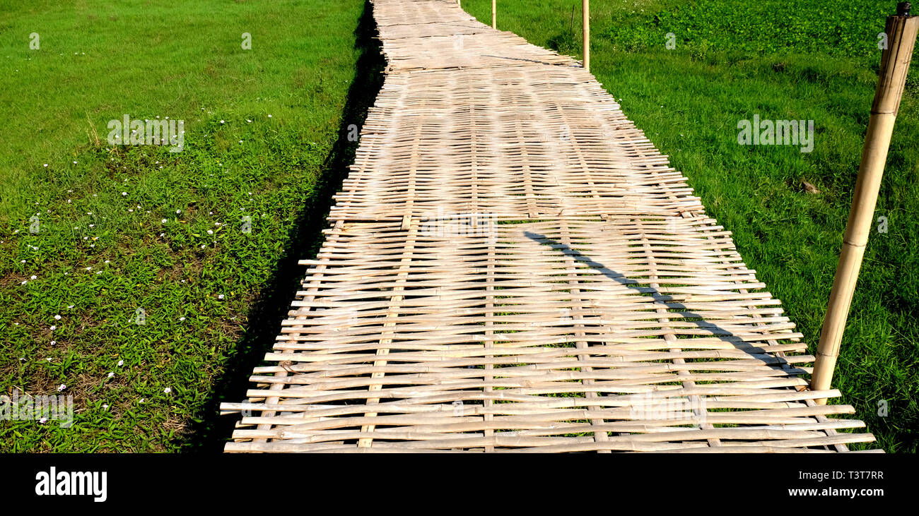 Holz- weg an der grünen Reis bio Feld und Bambus Brücke, die schöne Szene, Sonnenuntergang Sommerabend Stockfoto