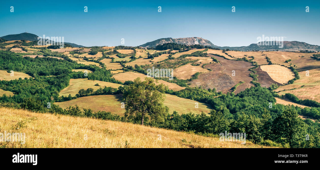 Anbauflächen in der nördlichen Seite des Florenz Provinz im Sommer. Italien. Stockfoto