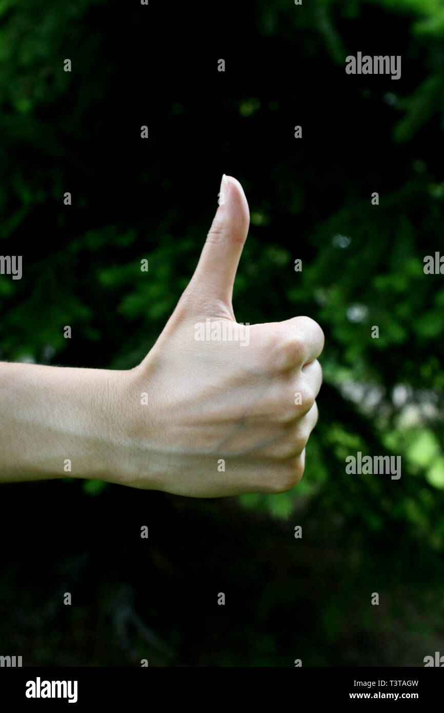 Handzeichen. Daumen hoch. Positiv ist. Ich mag es. Stockfoto