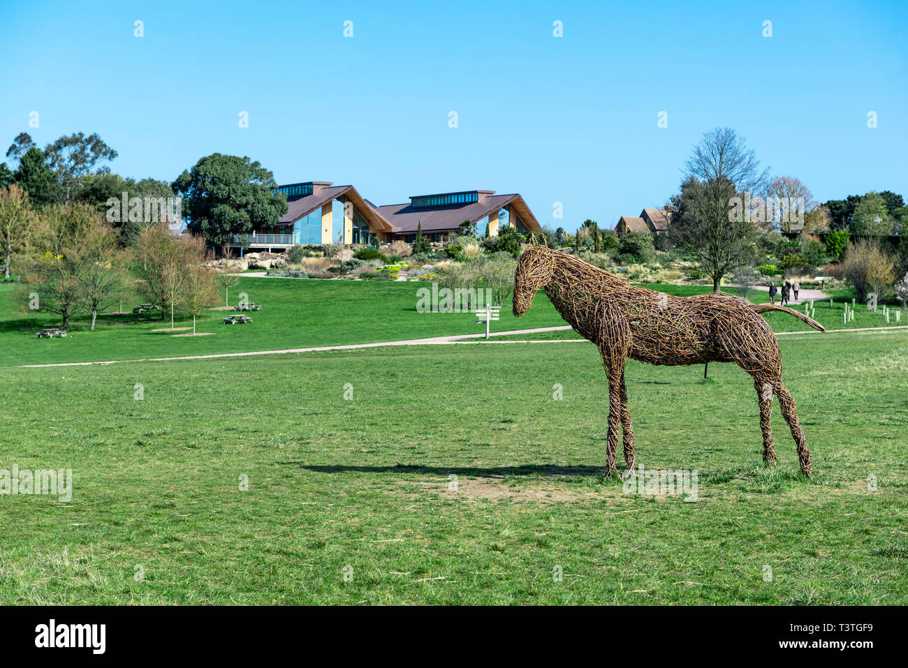 Royal Horticultural Society, RHS, Hyde Hall. Willow Pferd mit Learning Center und Restaurant im Hintergrund. Stockfoto