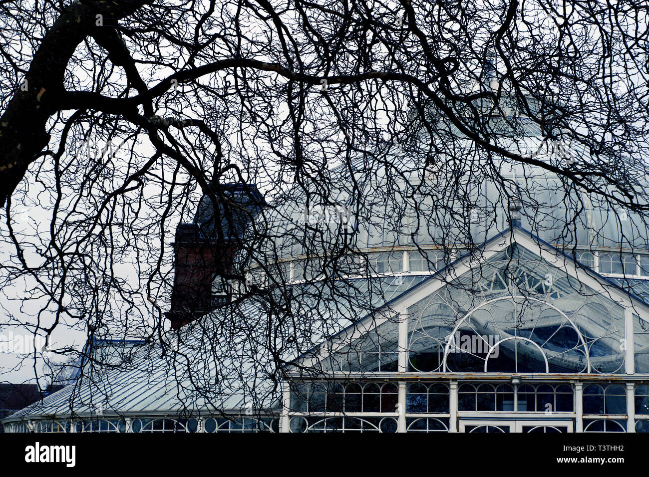 Gewächshaus im Botanischen Garten in Glasgow, Schottland. Stockfoto