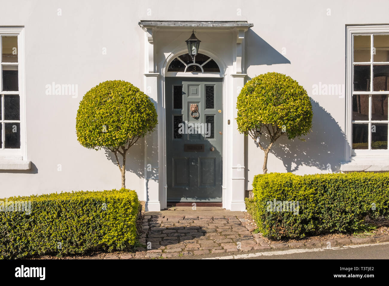 Smart georgianischen Stil der Vordertür mit Box Hedge- und Eibe Buchsen auf beiden Seiten zu Haus Stockfoto