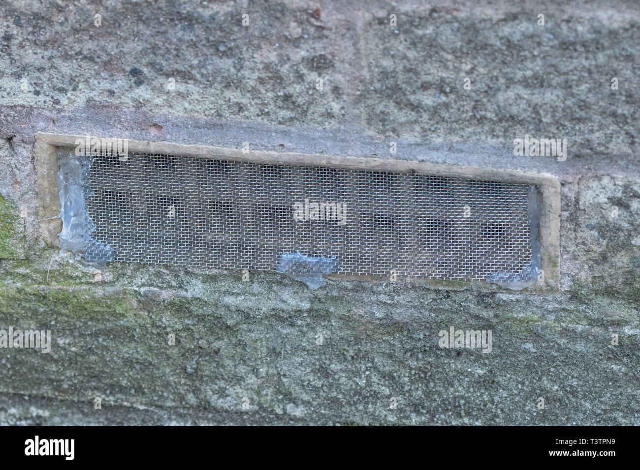 Luft im Mauerwerk durch Gitter abgedeckt vent Maus Eintrag zu verhindern. Stockfoto