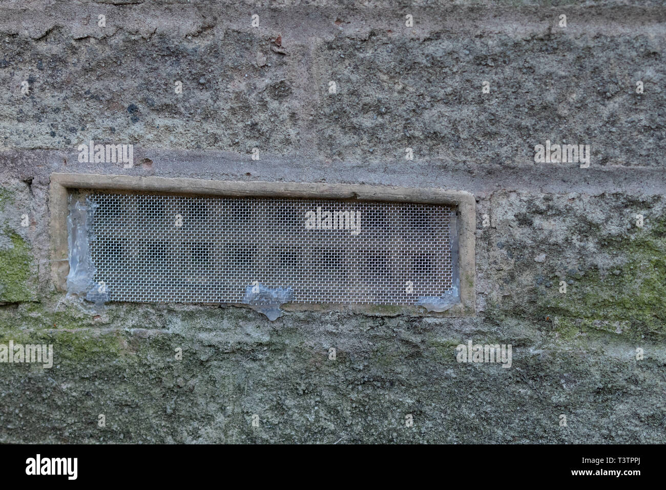 Luft im Mauerwerk durch Gitter abgedeckt vent Maus Eintrag zu verhindern. Stockfoto