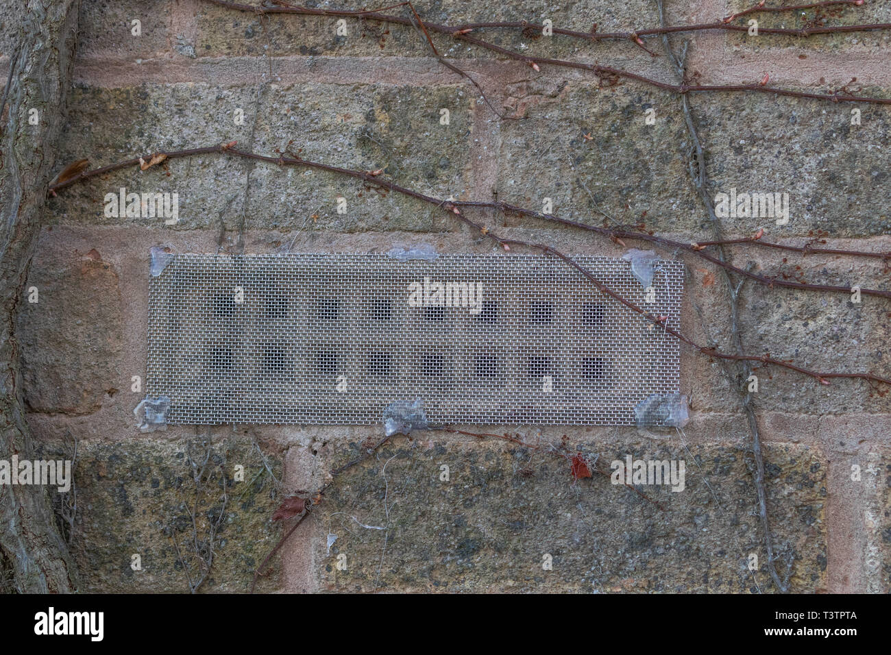 Luft im Mauerwerk durch Gitter abgedeckt vent Maus Eintrag zu verhindern. Stockfoto