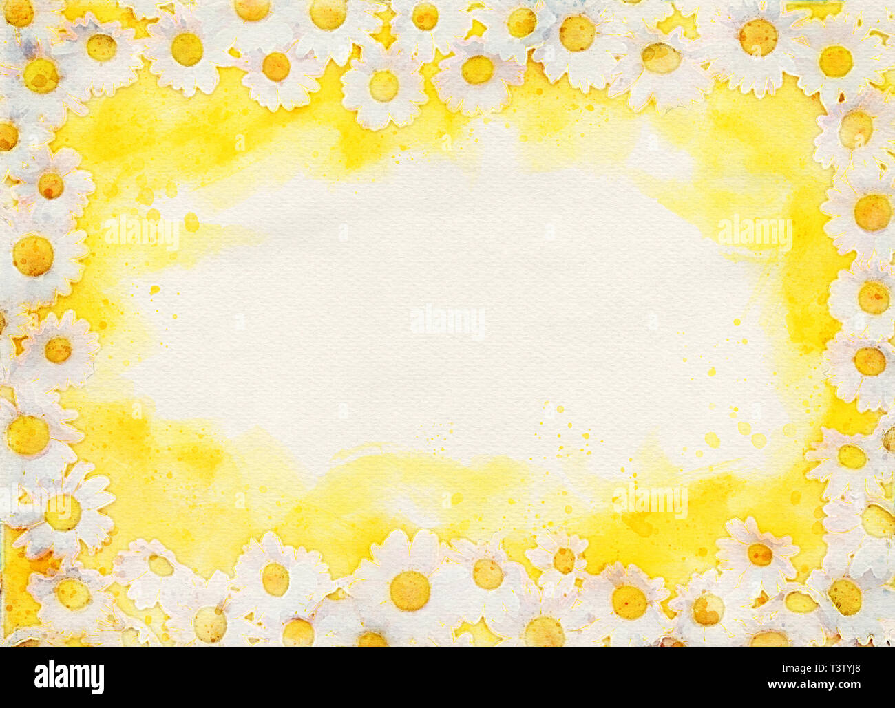 Gerahmte gelber Hintergrund mit weißen schönen Gänseblümchen in Aquarell Stockfoto