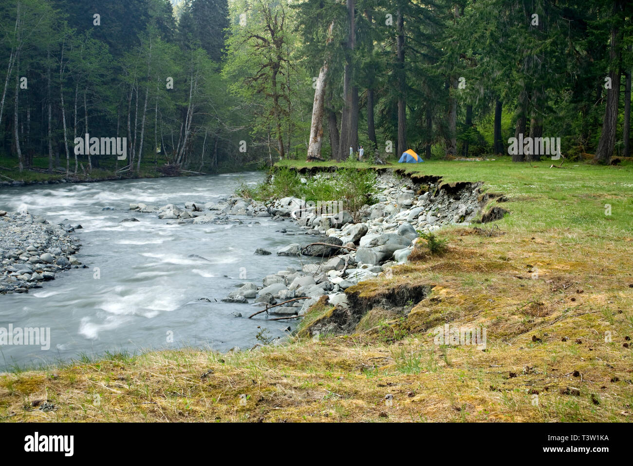 WA 00987-00 ... WASHINGTON - Wiese und Campingplatz bei Elk Horn entlang der Elwha River in Olympic National Park. Stockfoto