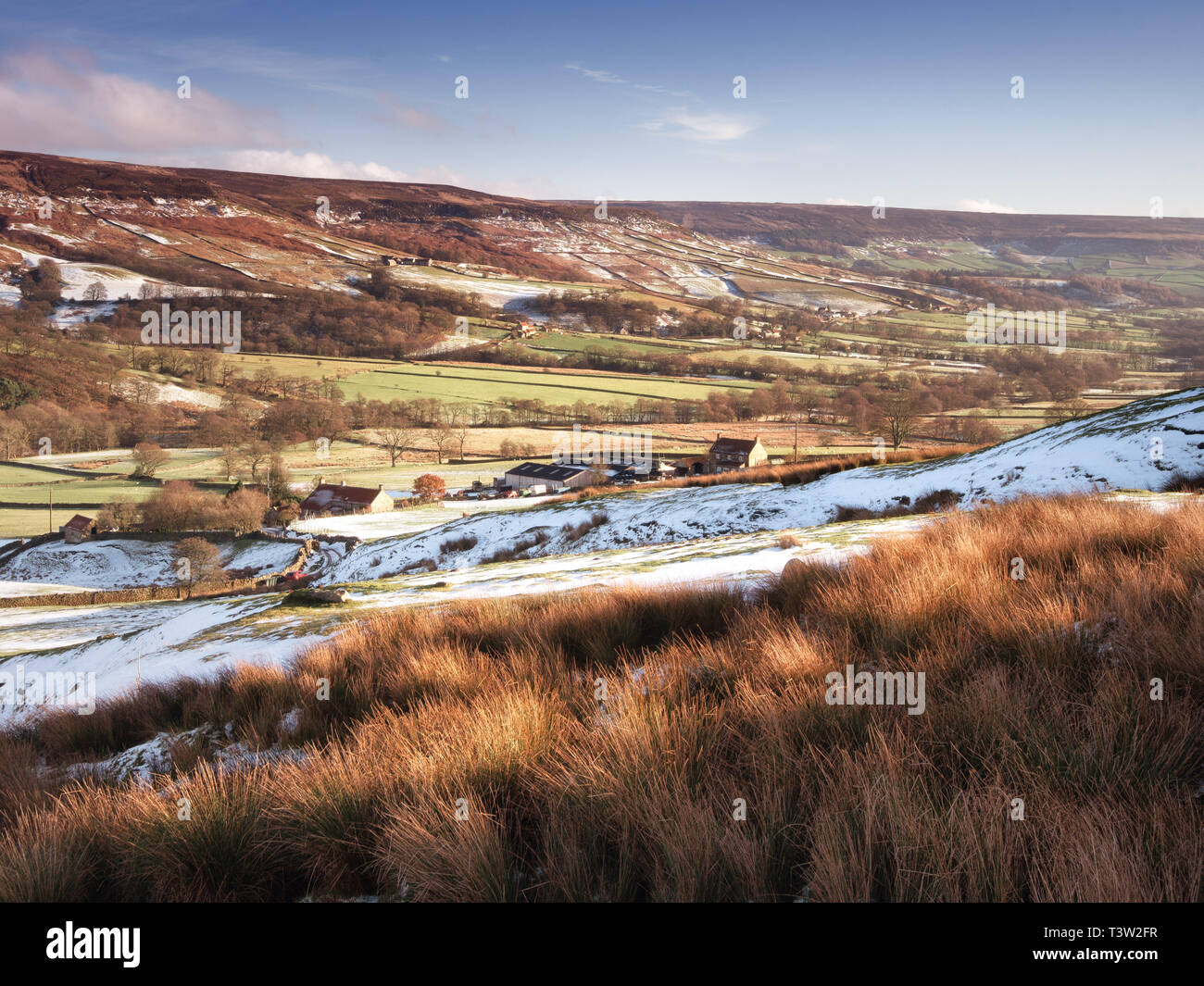 Ein Landschaftsbild von Farndale, North York Moors National Park Stockfoto