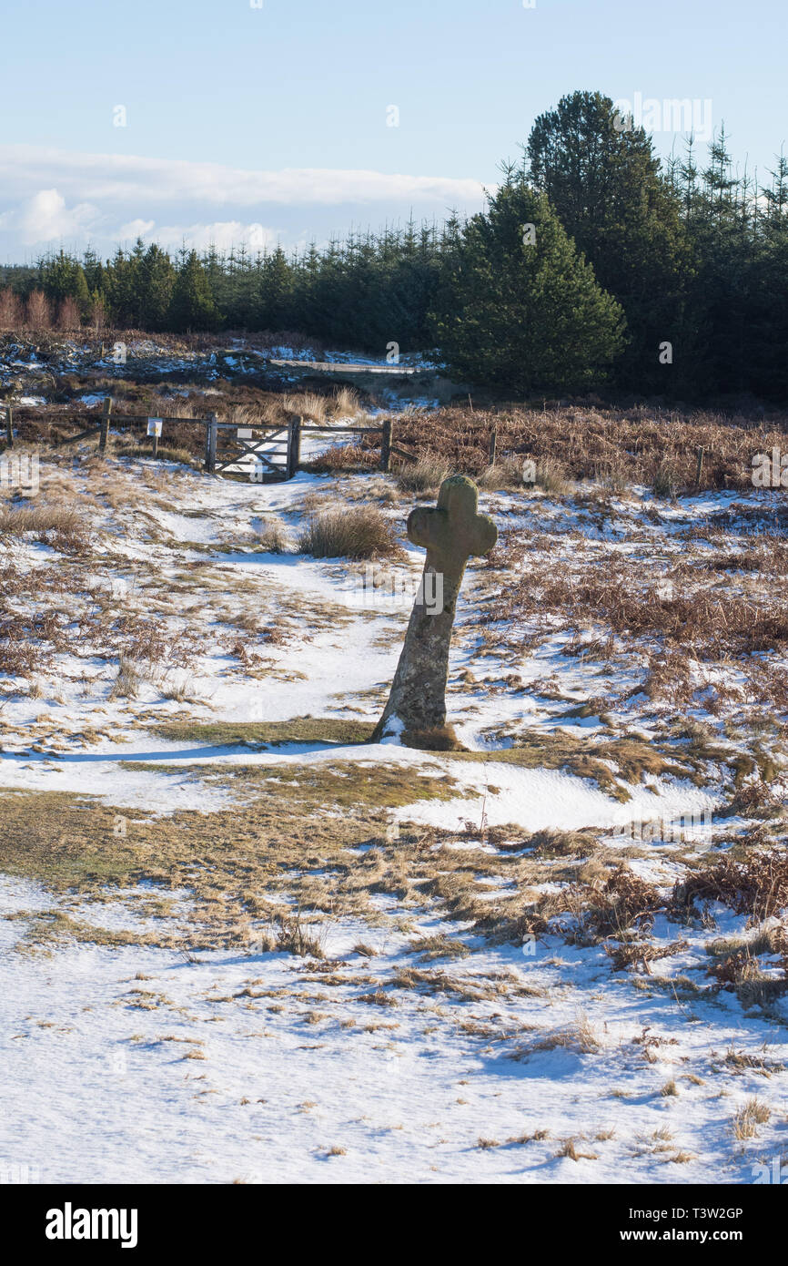 Bild in der North York Moors National Park genommen Stockfoto
