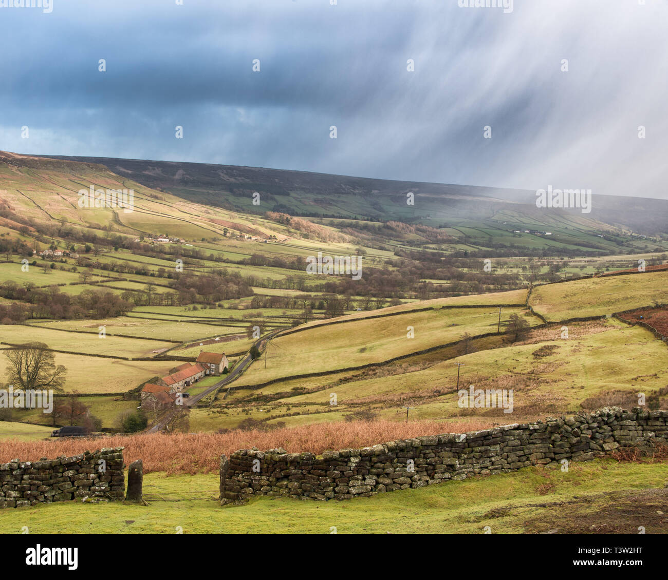 Ein Landschaftsbild von Farndale, North York Moors National Park Stockfoto