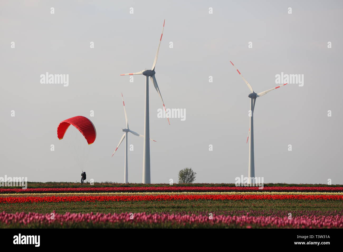 Paragliding mit Green Power Stockfoto