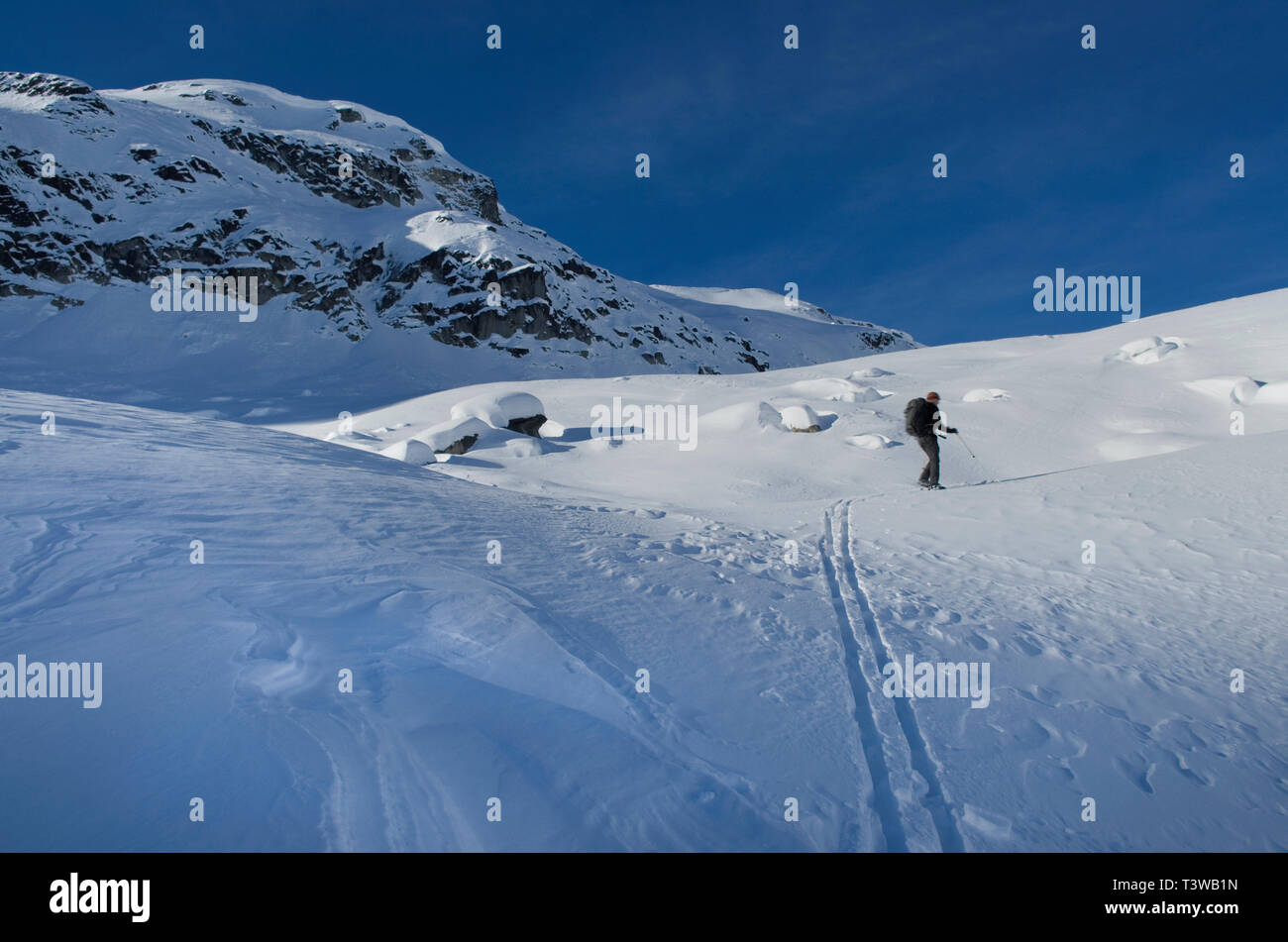 Kaukasische Skifahrer in Schneelandschaft Stockfoto
