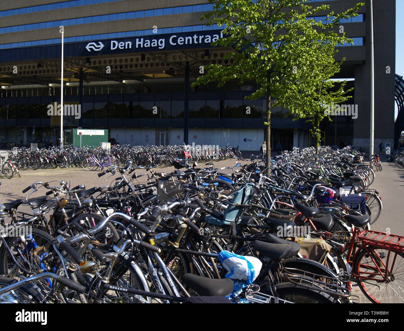 Den Haag, Fahrräder vor dem Bahnhof Den Haag Stockfoto