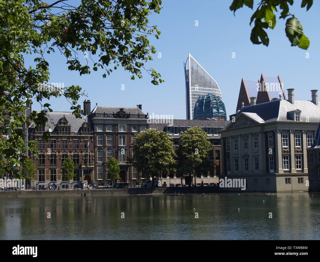Den Haag, Hofvijver Stockfoto