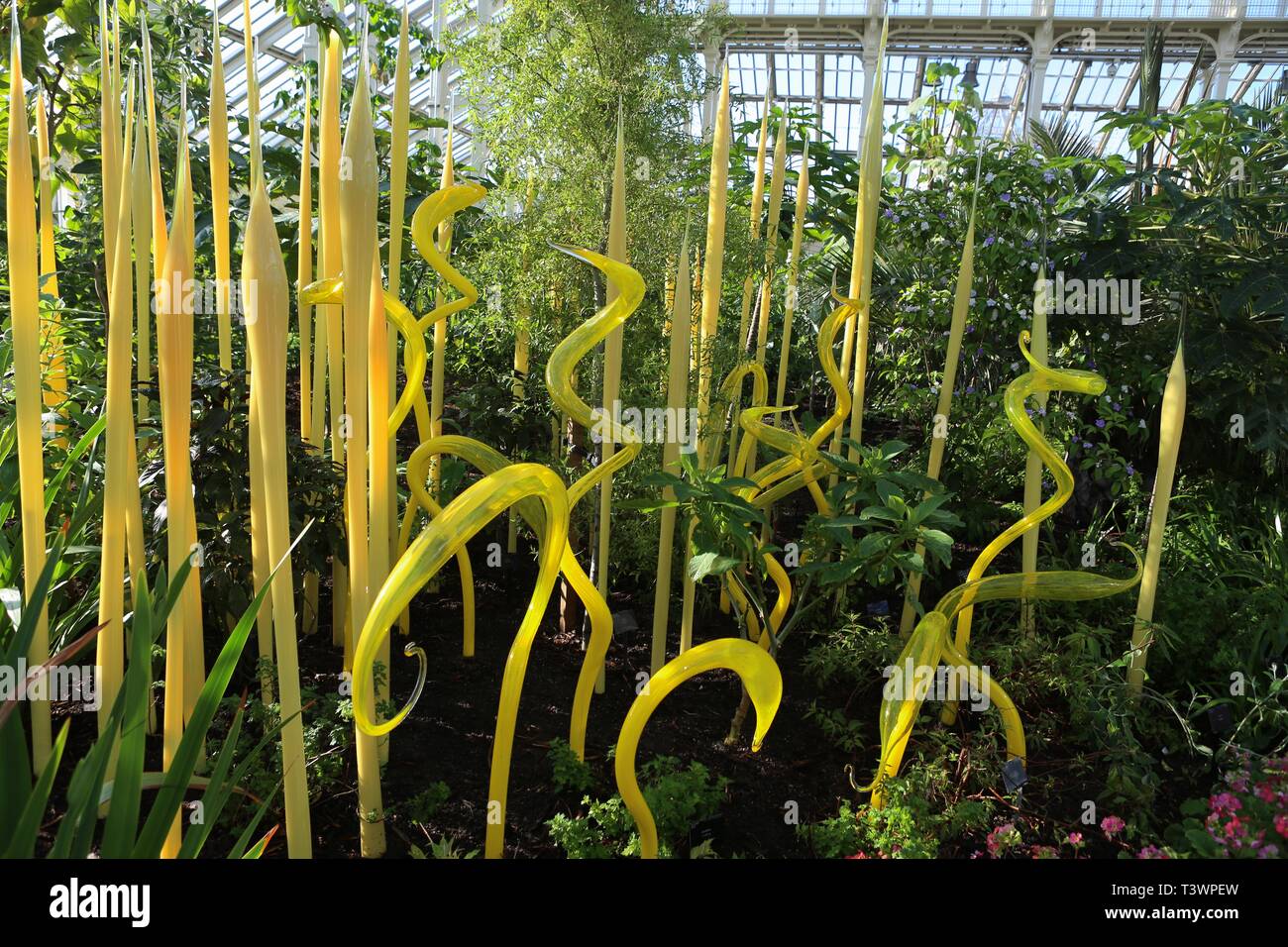 Kew Chihuly Reflexionen über die Natur 13. April, 27. Oktober 2019 Stockfoto