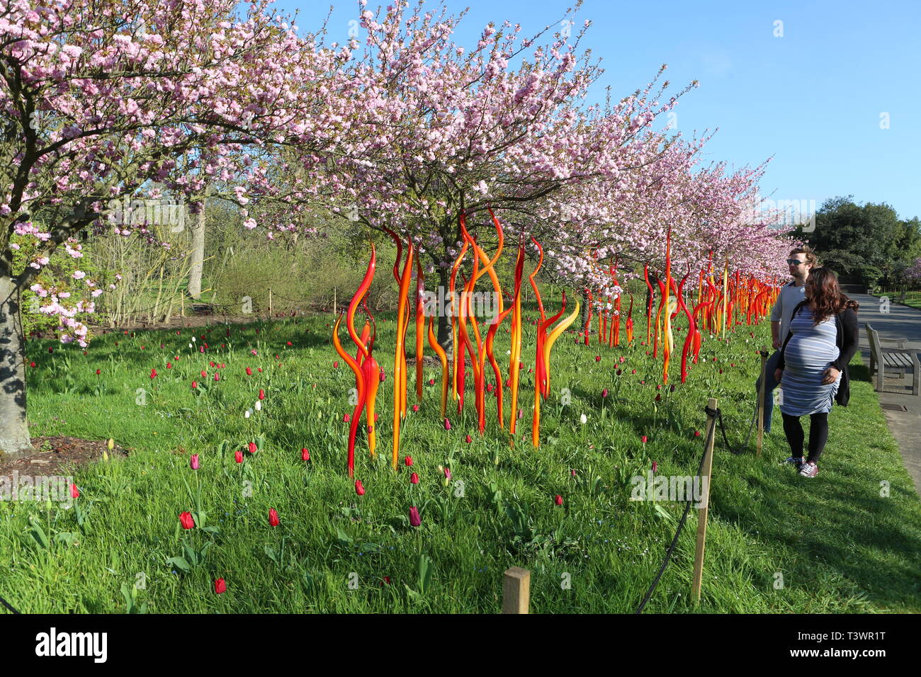 Kew Chihuly Reflexionen über die Natur 13. April, 27. Oktober 2019 Stockfoto