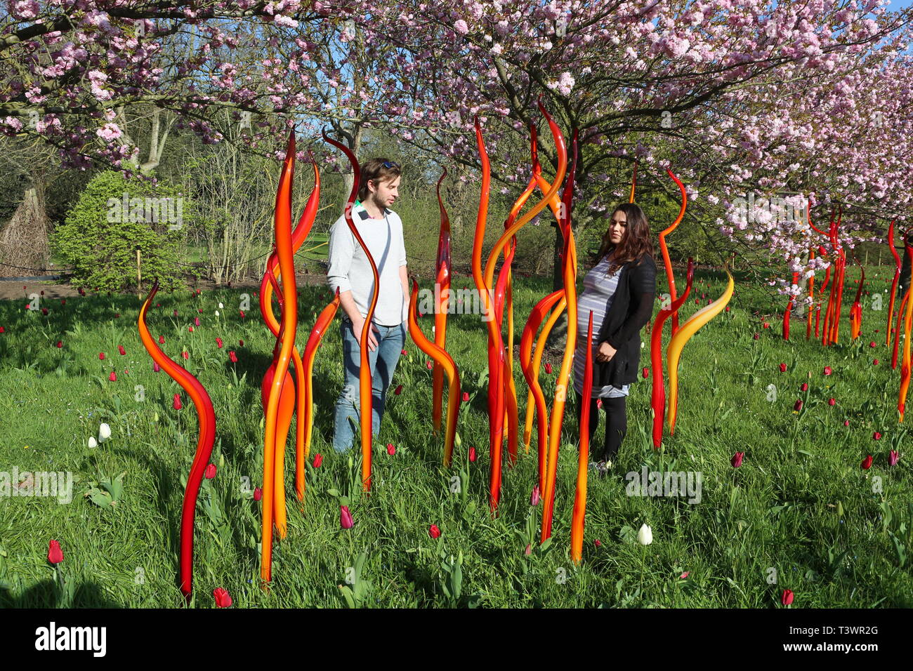 Kew Chihuly Reflexionen über die Natur 13. April, 27. Oktober 2019 Stockfoto
