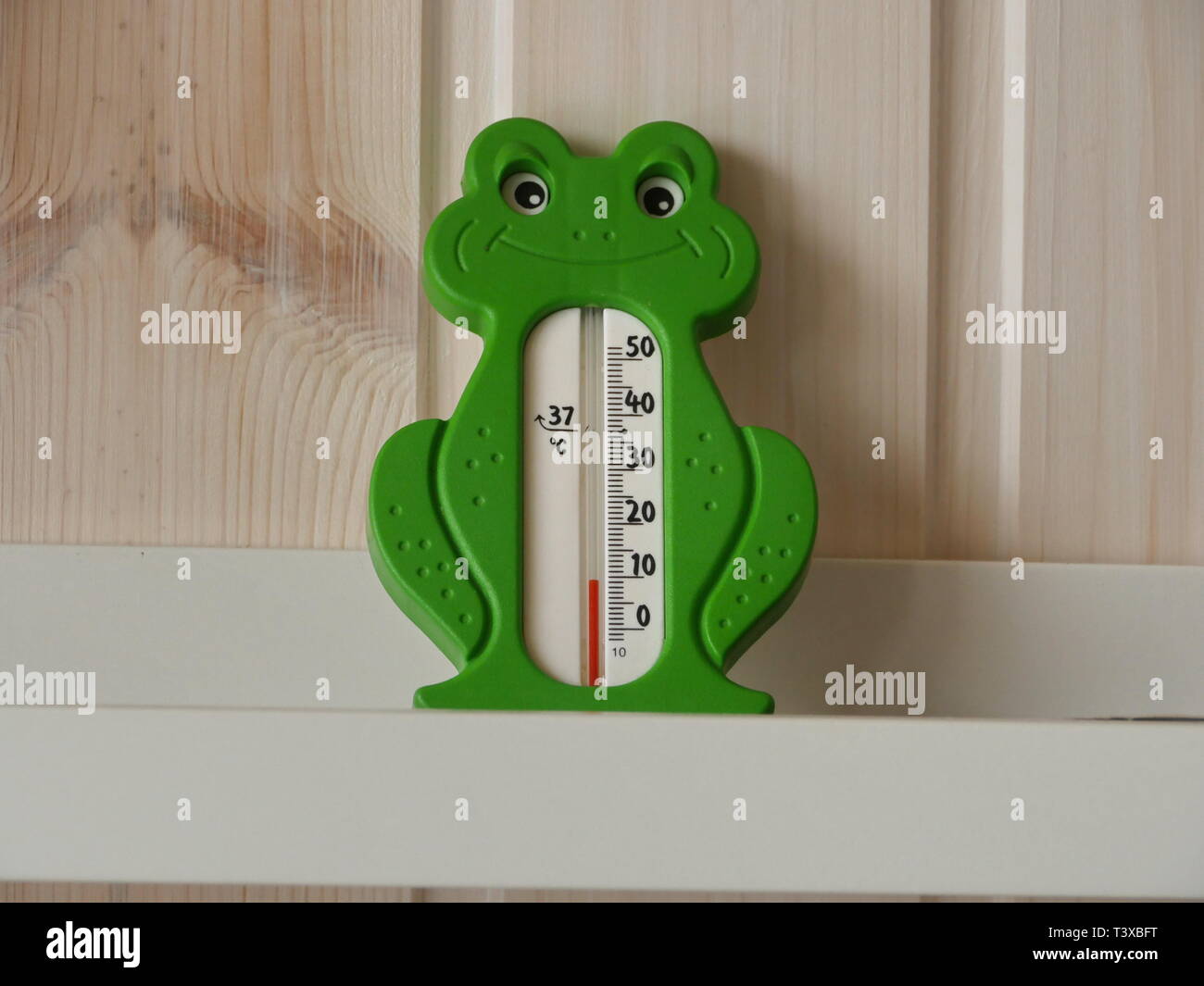 Thermometer in der Form eines grünen Frosch Stockfoto